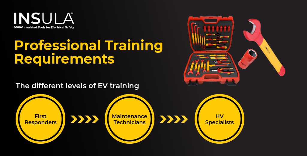 Professional Training Requirements for EV